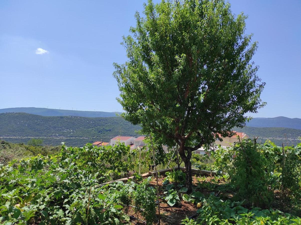 One Bedroom Apartment Gogo With Private Parking Neum Bagian luar foto