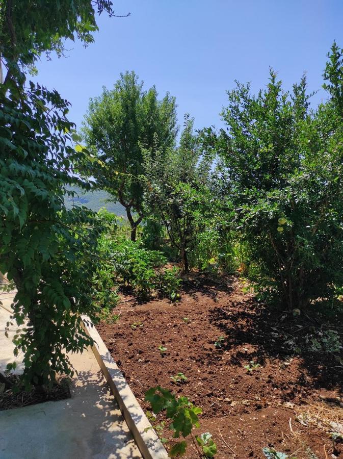 One Bedroom Apartment Gogo With Private Parking Neum Bagian luar foto